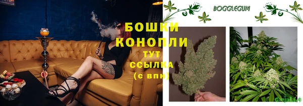 экстази Няндома