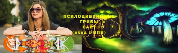 ешки Аркадак
