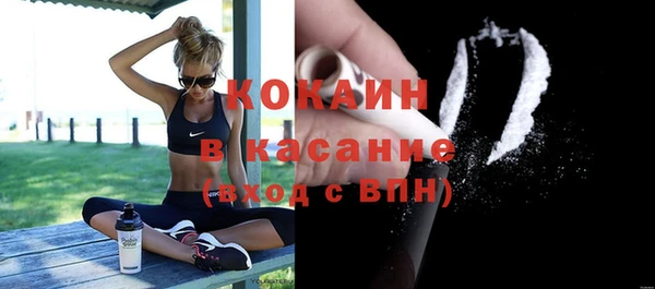 дживик Арсеньев