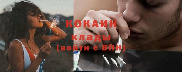 дживик Арсеньев