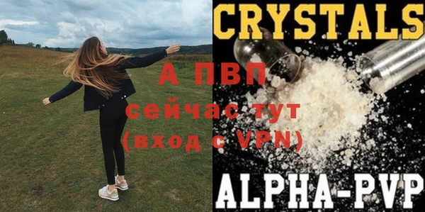 дживик Арсеньев