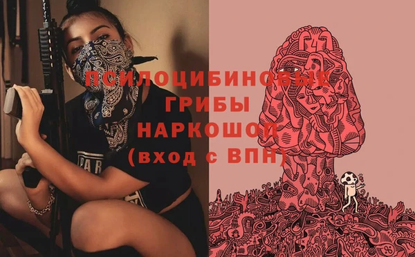 ешки Аркадак